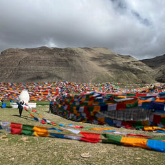 Tibetan Prayer Flag Hanging Service at Mount Kailash for Energy Blessing